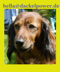bella@dackelpower.de